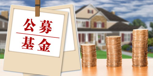 基金公司逆市布局 發起式產品傳遞市場信心與專業服務價值